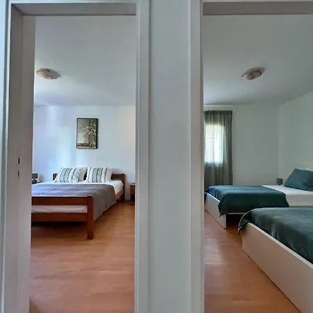 Cvitanovic 科尔丘拉