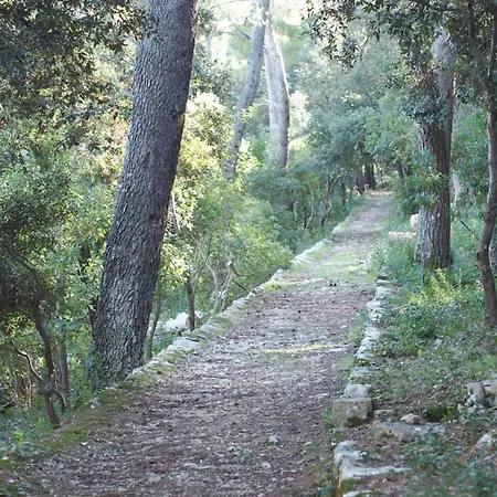 Cvitanovic Apartment *